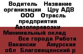 Водитель › Название организации ­ Цру АДВ777, ООО › Отрасль предприятия ­ Автоперевозки › Минимальный оклад ­ 110 000 - Все города Работа » Вакансии   . Амурская обл.,Благовещенский р-н